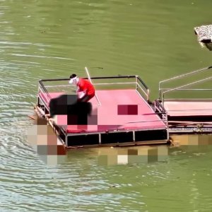 馬上評｜蹦極不是玩命，景區(qū)安全之繩絲毫松不得